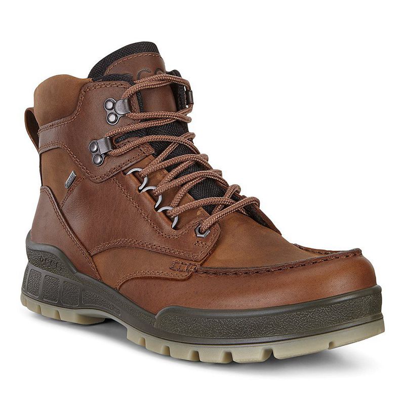 Men Boots Ecco Track 25 M - Hiking Boots Brown - India BOQTRG904